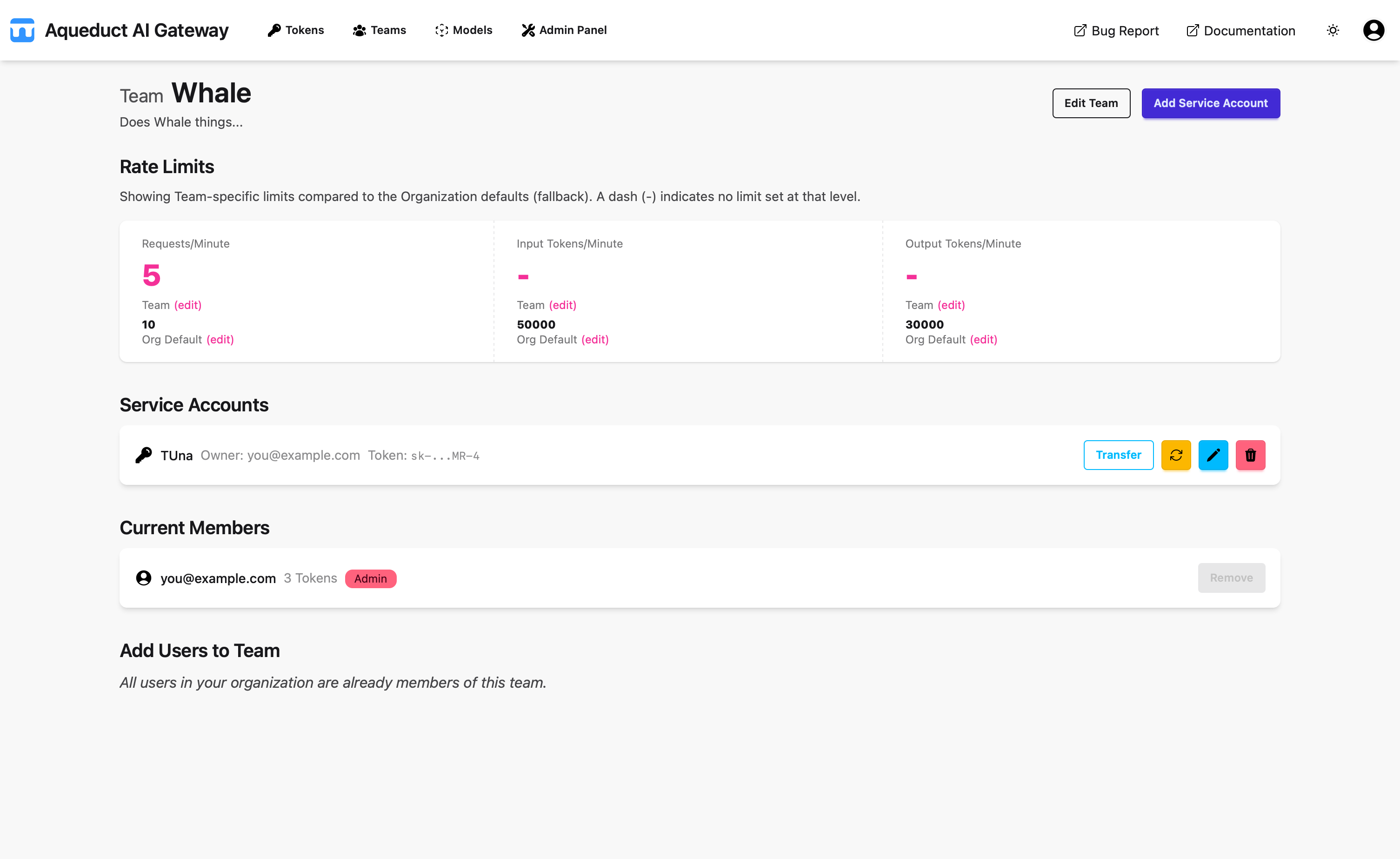 Team Detail Page